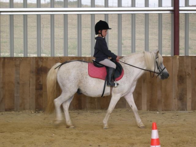  The ponies for children 